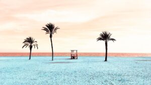 Palm trees and beach scene